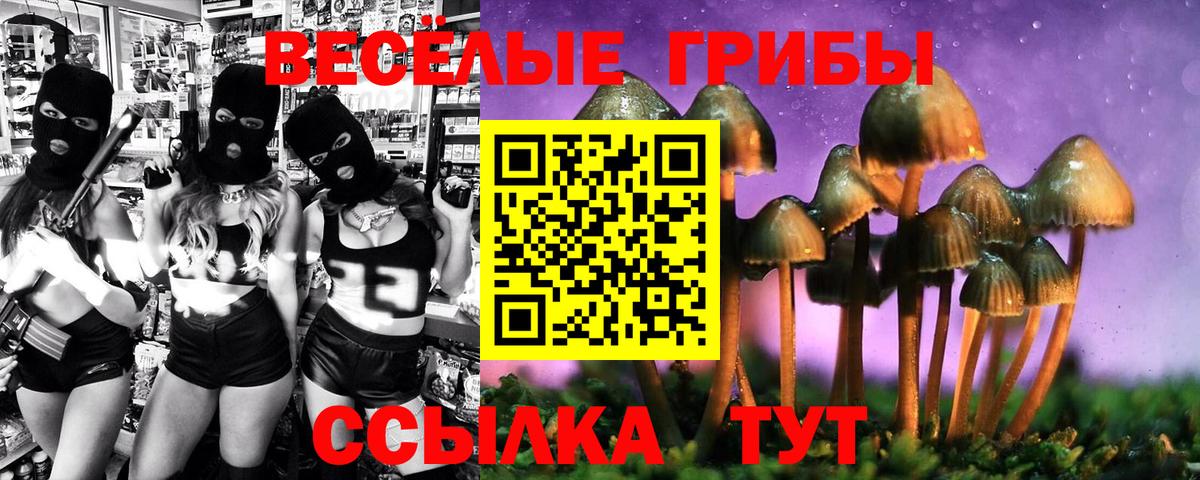 Псилоцибиновые грибы Psilocybe Лабытнанги