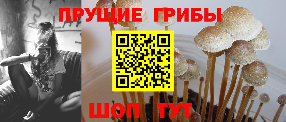 Галлюциногенные грибы ЛСД  Вход с VPN  Лабытнанги 